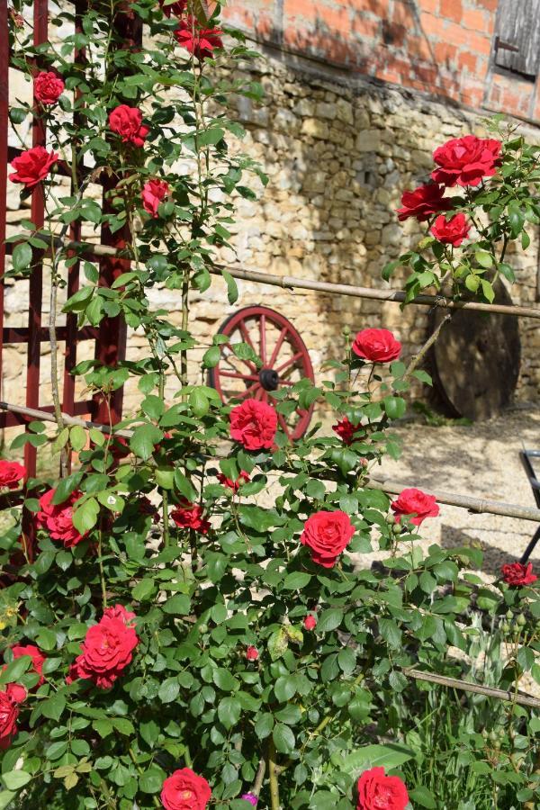 La Chabotine Bed & Breakfast Allas-Les-Mines ภายนอก รูปภาพ